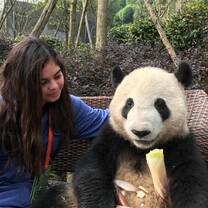 With Panda - Explore China