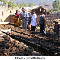HEEED Malawi fuel briquette production