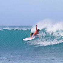 person surfing a wave