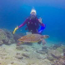 Turtle love 