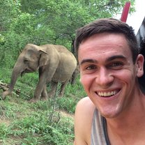 Elephant Selfie!