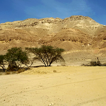 Arava desert, Israel