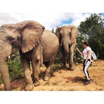volunteer in South Africa with VolSol3