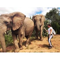 volunteer in South Africa with VolSol3 volunteer in South Africa with VolSol3