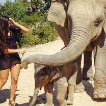 volunteer in Thailand with volsol2