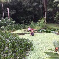 pond monitoring 
