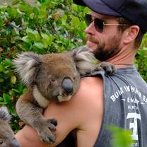 man and kuala bear