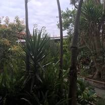 Central Garden