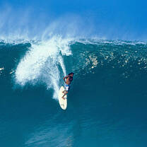 Co-founder of Oasis Surf & Language School, Roger belongs to the first generation of professional surfers in Mexico. With more than 30 years of surfing experience, Roger designs and supervises all coach sessions and program implementation.