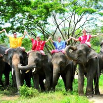 Get Paid to Teach English in Chiang Mai, Thailand group of people on elephants