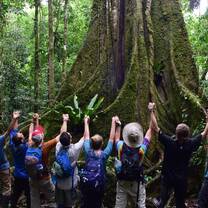 Exploring the Amazon 
