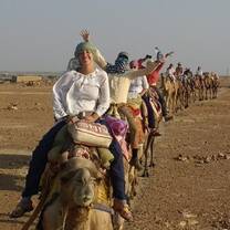 Camel Safari