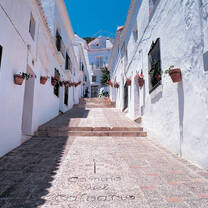 The colorful streets of Malaga, Spain