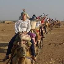 Camel Safari