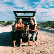 walks on the beach with the dogs