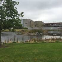 UCD