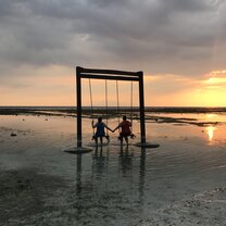 Gili T