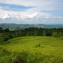 View from a bus ride
