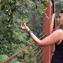 Study conservation biology in Puntarenas, Costa Rica, with USAC