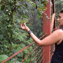 Study conservation biology in Puntarenas, Costa Rica, with USAC