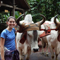 Study Abroad with USAC in San Ramon, Costa Rica