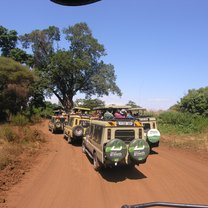 Safari 