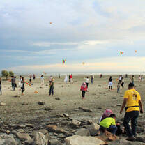 Flying kites on the beach
