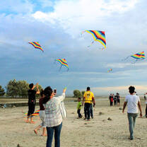 Flying kites on the beach