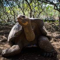 San Cristobal Wild life 