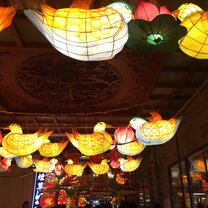 Duck lanterns