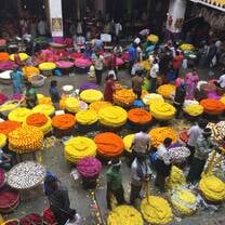 Study abroad with USAC in Bangalore, India