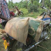 2 sacks in a motorcycle with a half body man