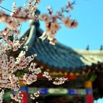 Peach blossom flower