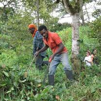 two workers in jungle
