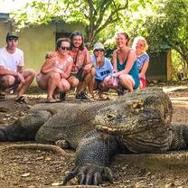 group of friends taking photo with comodo dragon