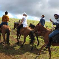 group of people riding in horse