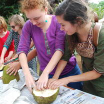 Study abroad with USAC in Bangalore, India