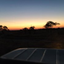 Sunset, Zimbabwe, Antelope Park