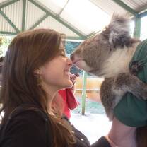 Koala Kiss