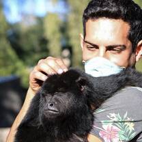 Help us to rescue them