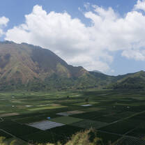 Lombok landscape