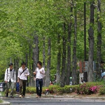Study Abroad in Hiroshima, Japan, with USAC