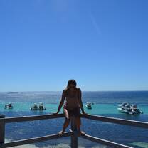 Australian blue