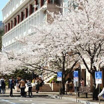 Study abroad in Seoul, Korea, at Kookmin University with USAC.
