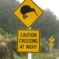 Study with USAC at Massey University in New Zealand!