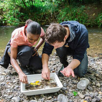 USAC New Zealand: National Expedition and Internship