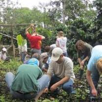 group of men and women planting 