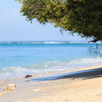 Lombok beach