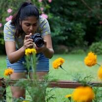 Be a Communications assitant at an NGO