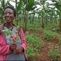 the old lady holding a flowers